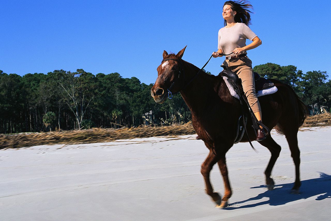 naked horseback - lena nitro sophie james xxx