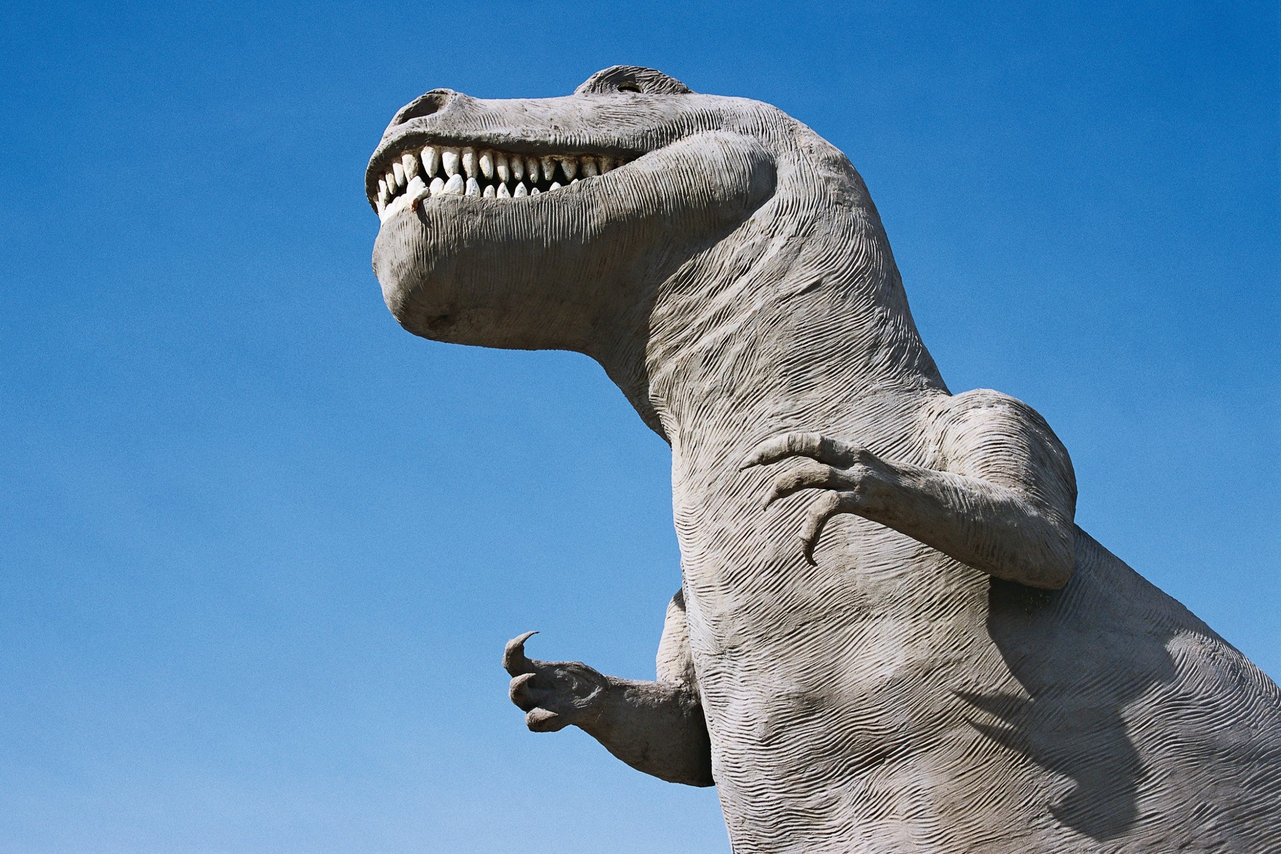 sex dino - ebony drunk porn milos ovcacek