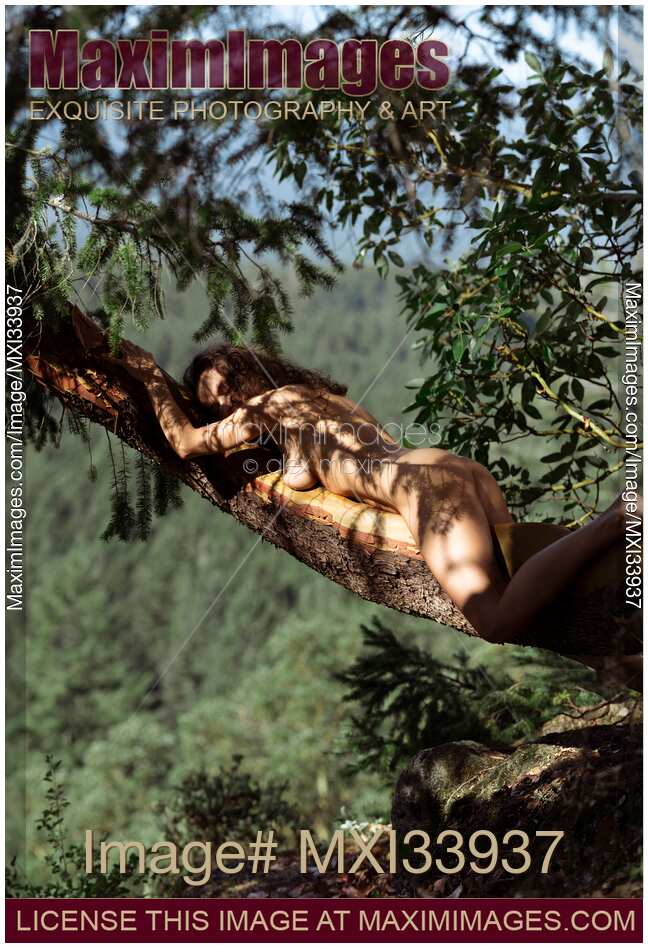 forest cliff porn lewderis twitter forest cliff porn