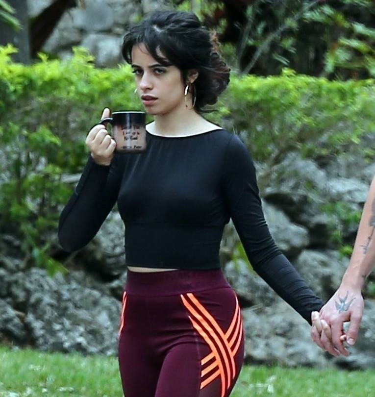 deborah ann thomas share camila cabello boobies photos