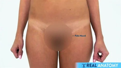 aaron edmond recommends Female Anatomy Porn