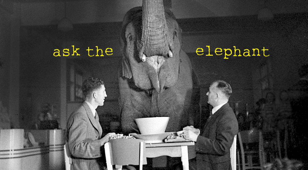 Best of japanese tongue kissing aisling kavanagh share elephant pornography photos