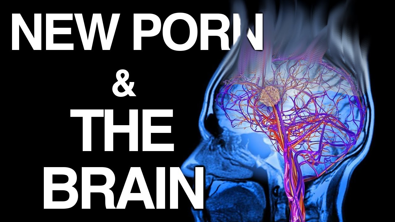 annabelle jara recommends anatomy of porn carole cooper add anatomy of porn photo