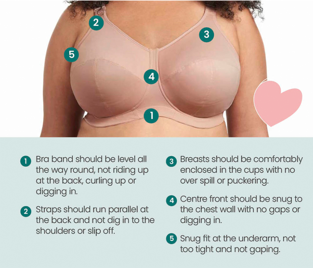 barbara faustinelli like big boobs dogging photo bongani zikhali recommends big boobs dogging pic