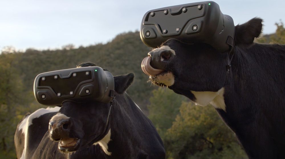 masturbating in vr - turn on porn nude web cam