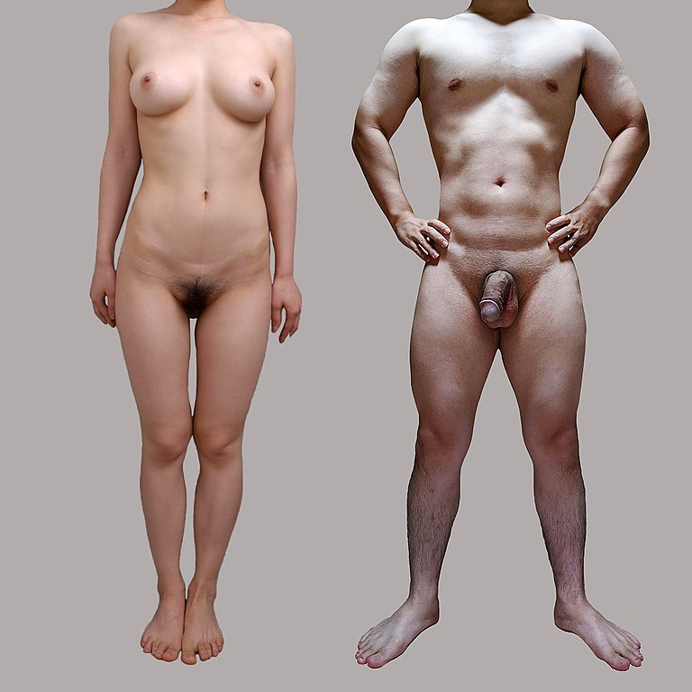 aaron warfare recommends Japenese Naked Women
