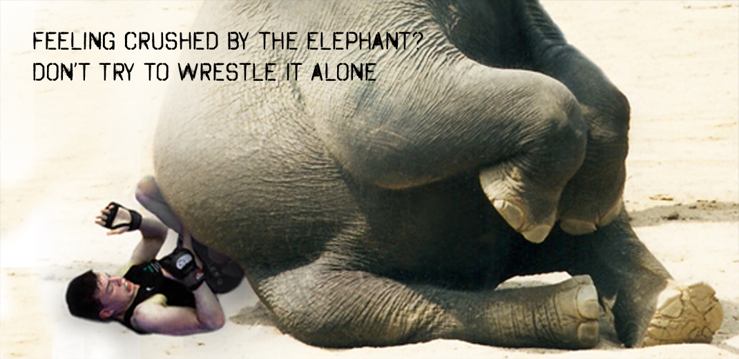 Sexs group be like Elephant Pornography ray nude