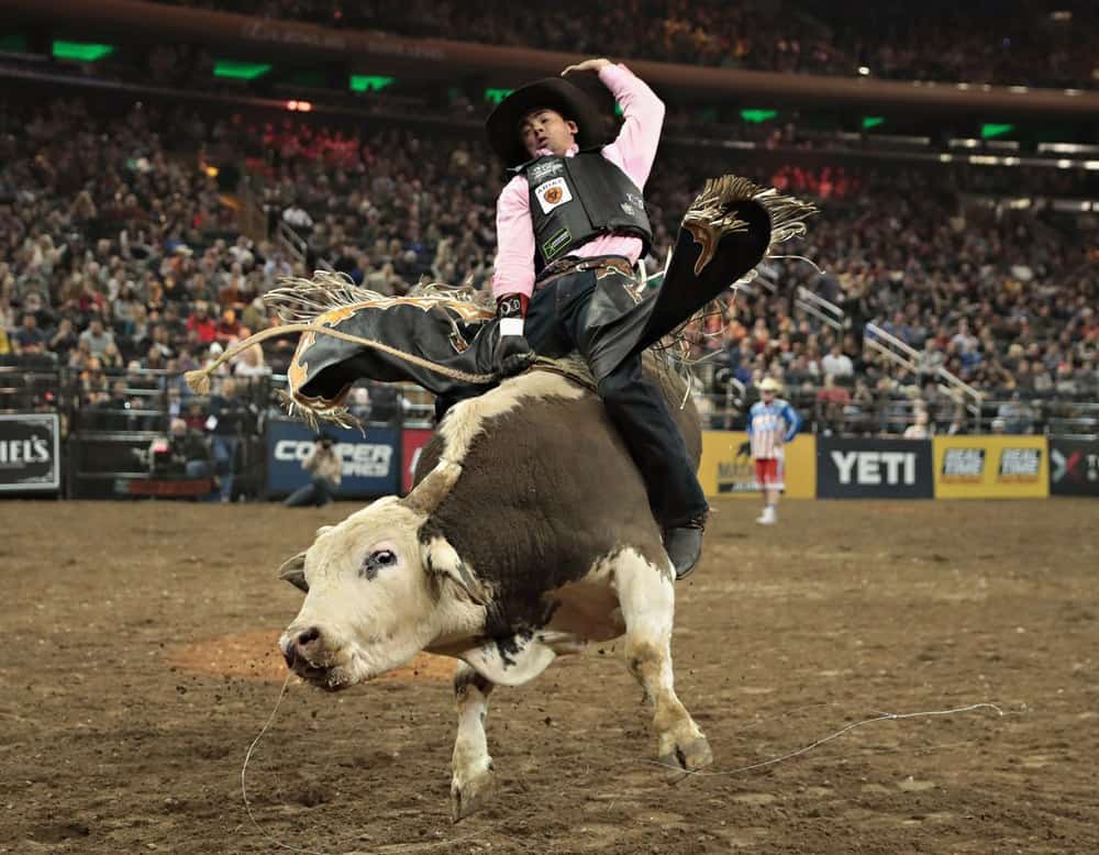 nude bull riding - anikka albrite facesitting periscope titties