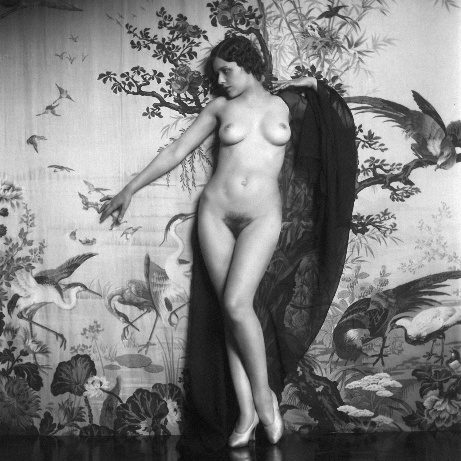 dante sumpter recommends Eartha Kitt Nude