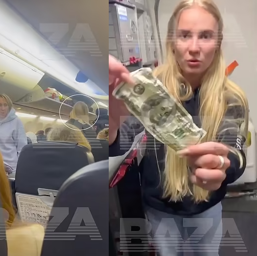 alon lahav recommends blow job on airplane crystal speck add blow job on airplane photo