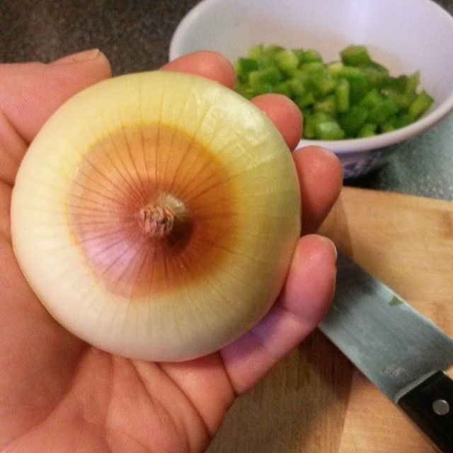 onion tits female assassin onion tits
