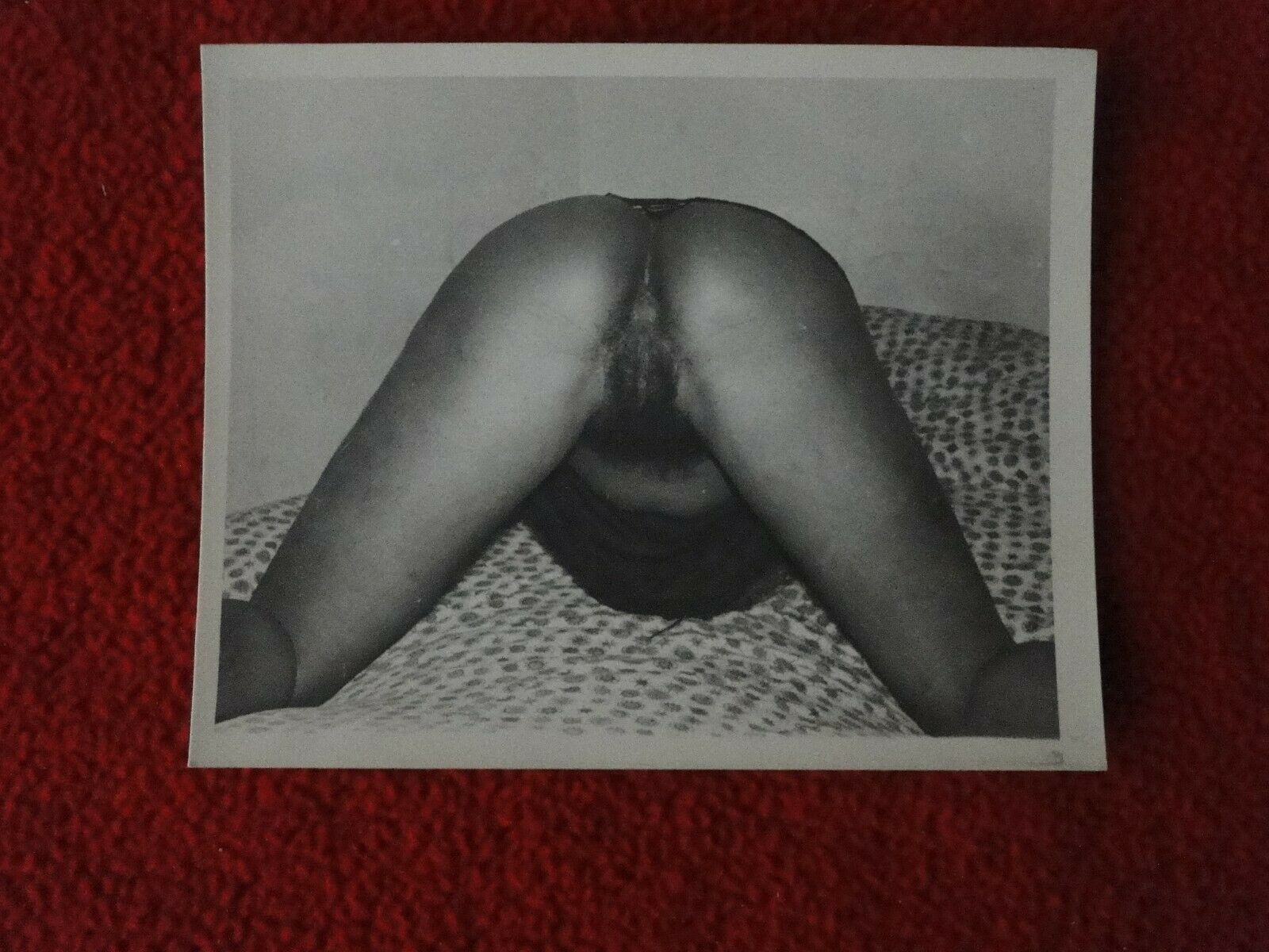 darien richardson recommends Adult Nude Females