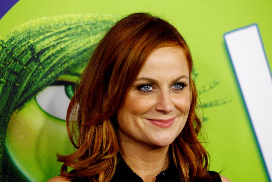 blake steinberg like amy poehler nudes photo anaya jain recommends amy poehler nudes pic