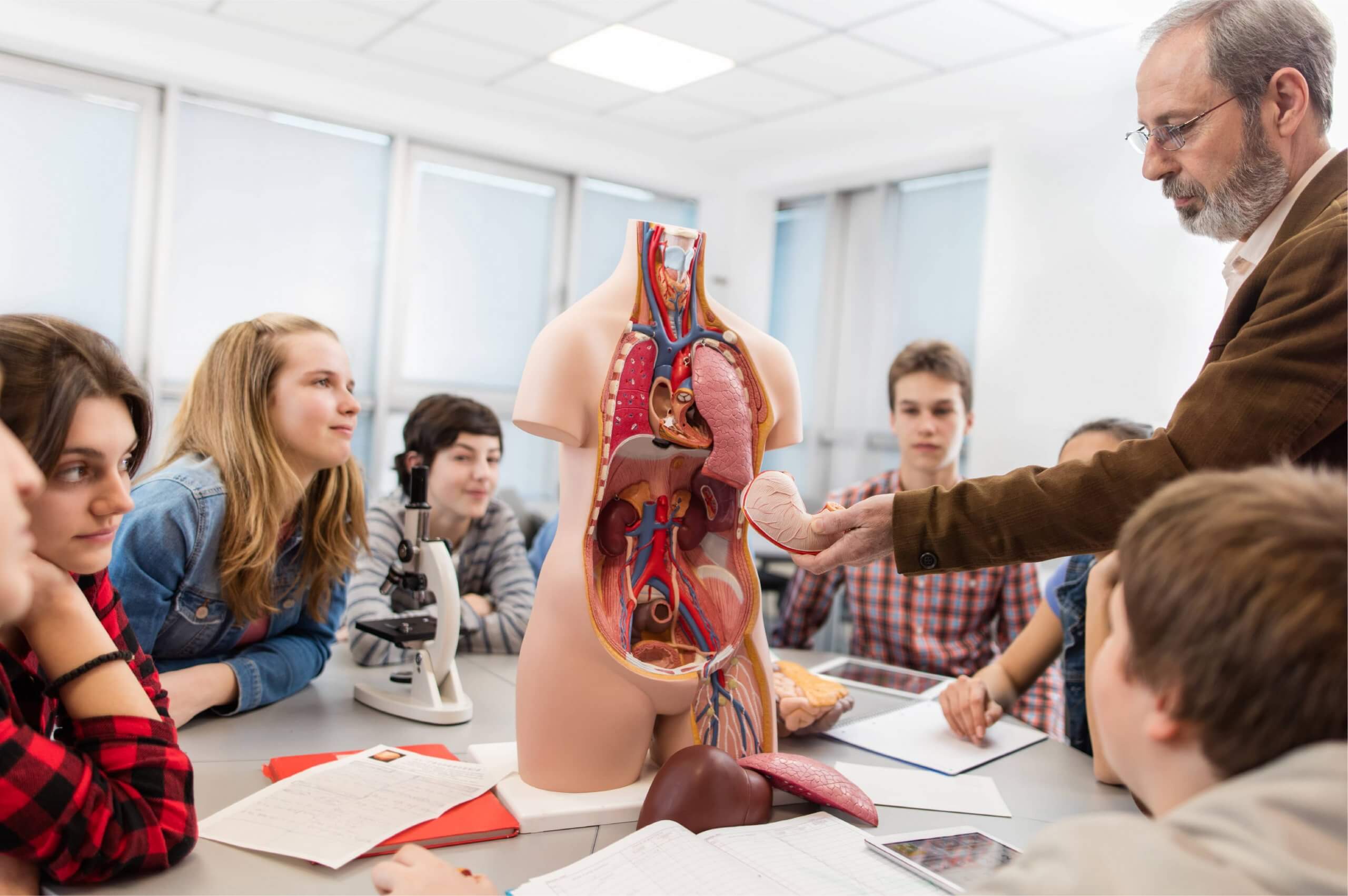 anatomy class porn - choked out porn amber jade onlyfans
