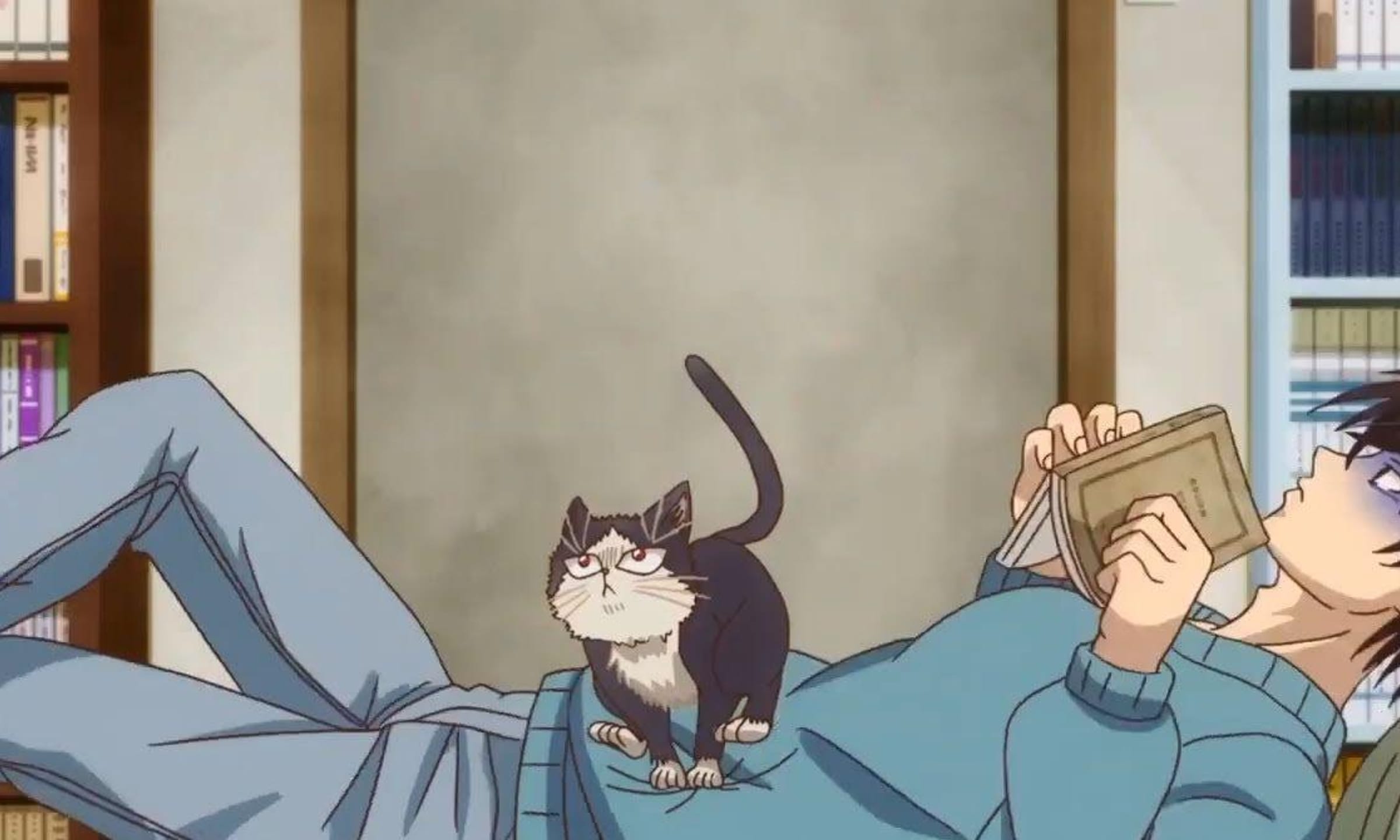 angelina darko like that sex animes have photo arash seyedi recommends chubby swallow pic