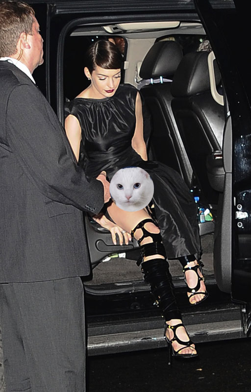 brad dupuy recommends anne hathaway upskirts clwyd jones add anne hathaway upskirts photo