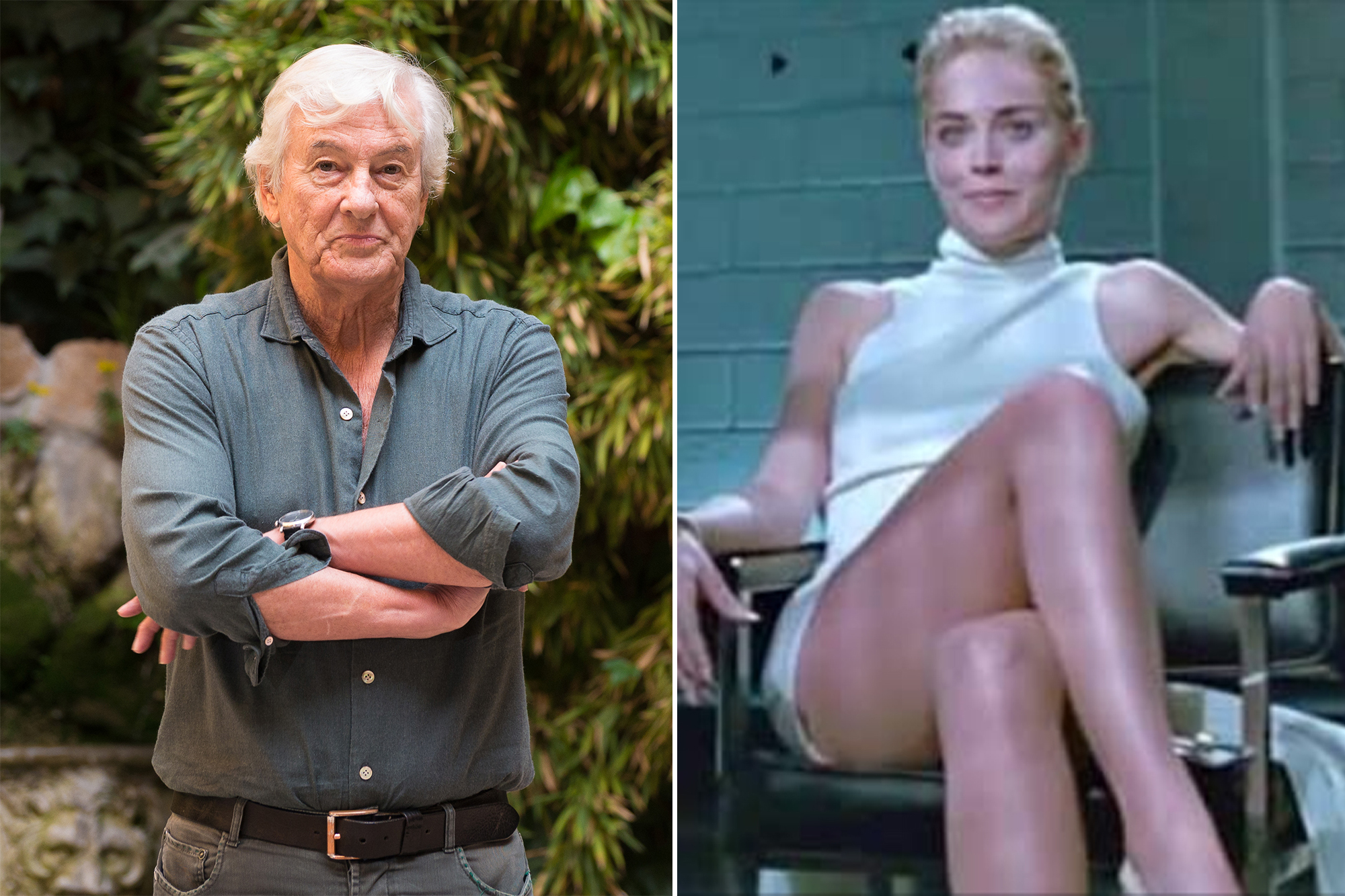 cik ain recommends sharon stone naked nude pic