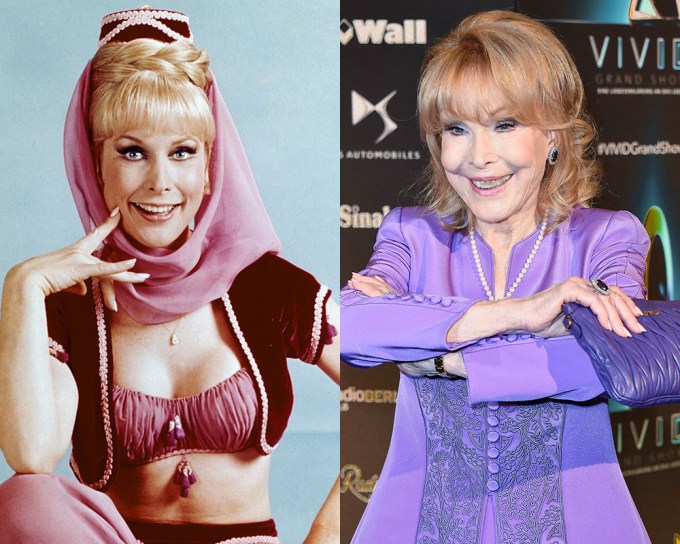 danny joubert recommends Barbara Eden Nude Pics