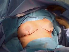 nicole eggert bikini - two men shagging melanie sky