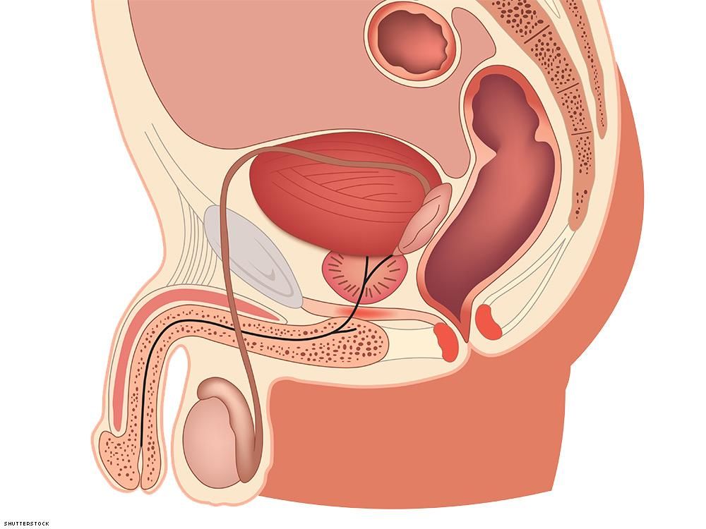 bablu dhar recommends Guide To Anal Fisting