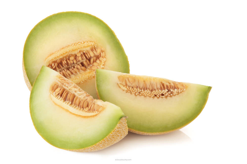 brian schooley recommends Big Melons Com