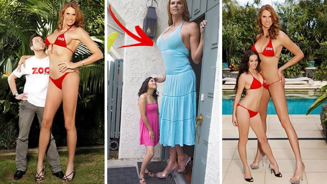 daryl sutcliffe like big tits tall photo carolyn blalock recommends big tits tall pic
