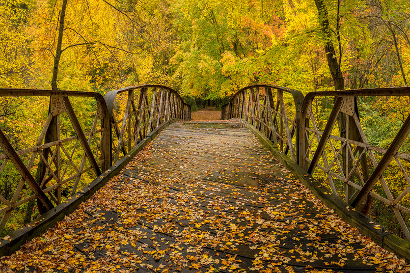 Colors Of Autumn Leaked cheeks picture andre tessier recommends Colors Of Autumn Leaked