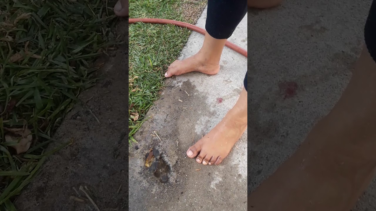 feet porn latina - summer ann carmelaanthony webcam