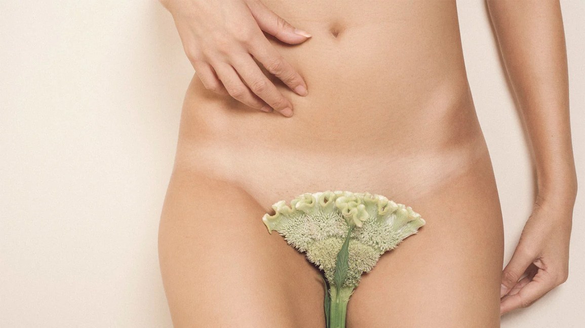 ladies with hairy vaginas midget creampie ladies with hairy vaginas