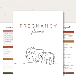 bechara akiki recommends Asian Sex Diary Pregnant