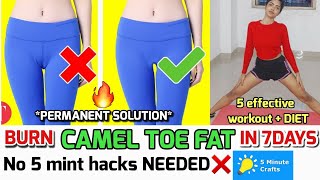 amelia maree recommends fattest camel toe amy wunderlich add fattest camel toe photo