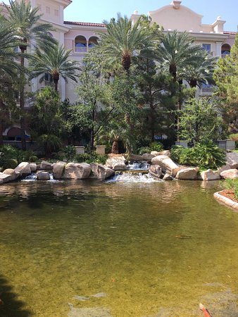 Best of Strip pool porn
