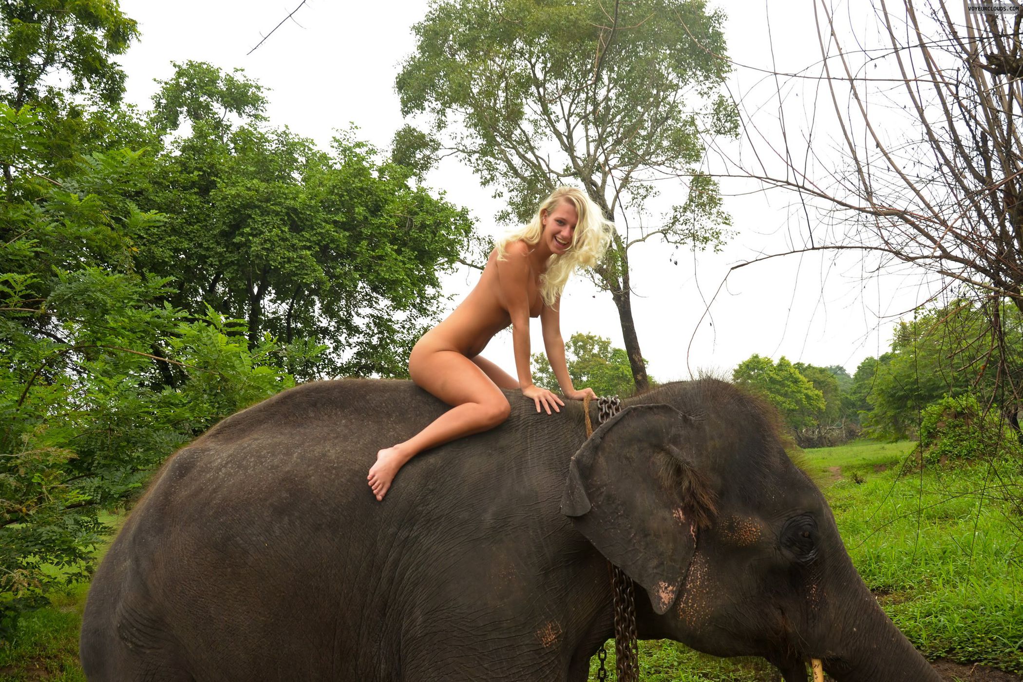 Best of Elphant porn