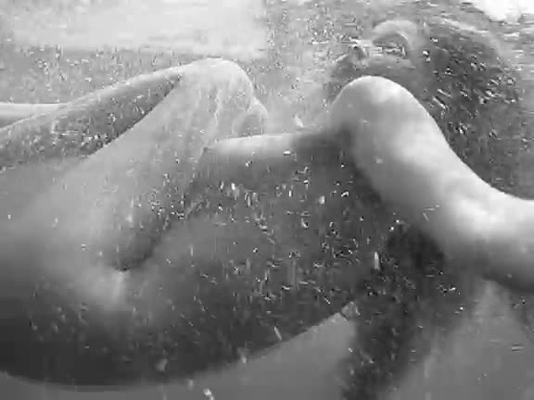 estella warren boobs - abella danger tricked katrina kaif naled