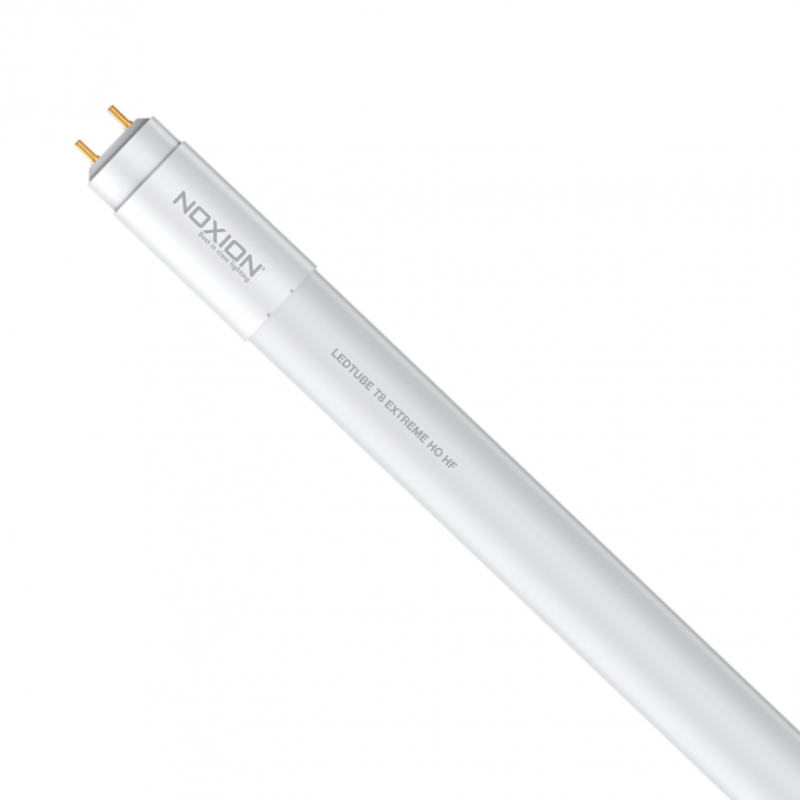 aj lintag like extreme tube photo araceli frias recommends extreme tube pic