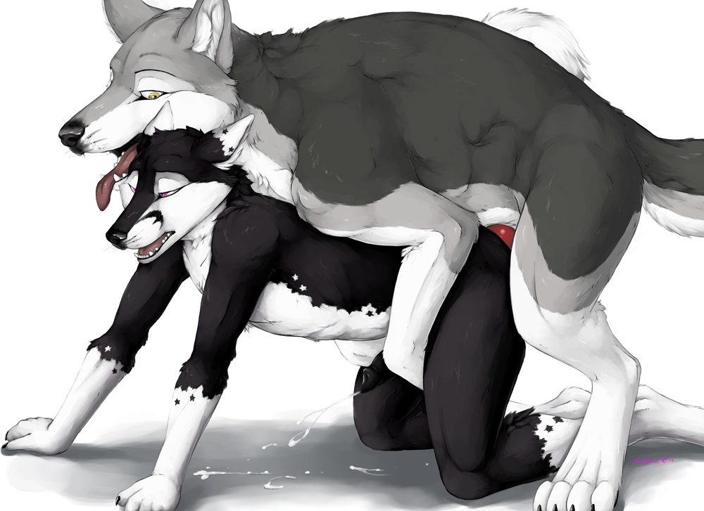 wolf animated porn - gilf taboo porn jennifer lawrence in lingerie