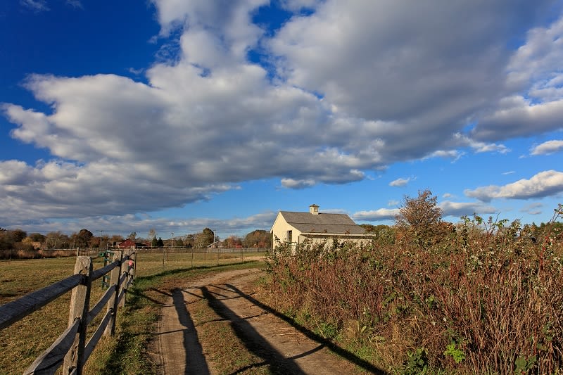ashley moate recommends Farmers Daughter Wisco