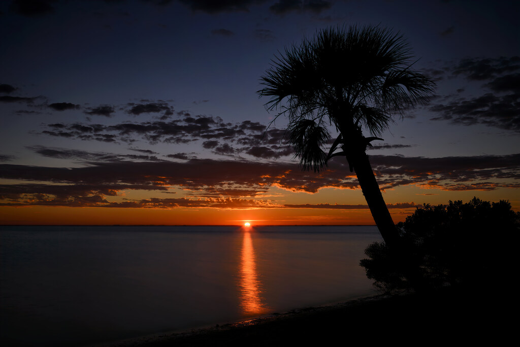 Best of Sunshine tampa