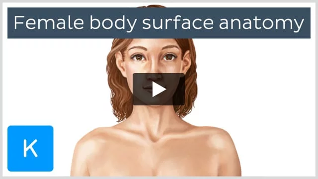 female anatomy porn gf video female anatomy porn