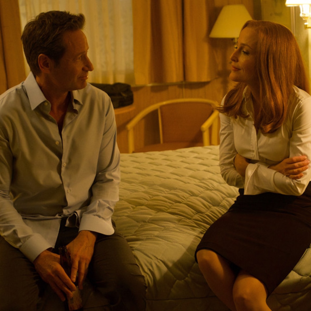 anna laporte recommends gillian anderson sex scenes pic