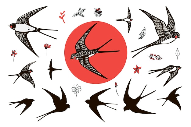 chris buggie recommends Japan Swallow