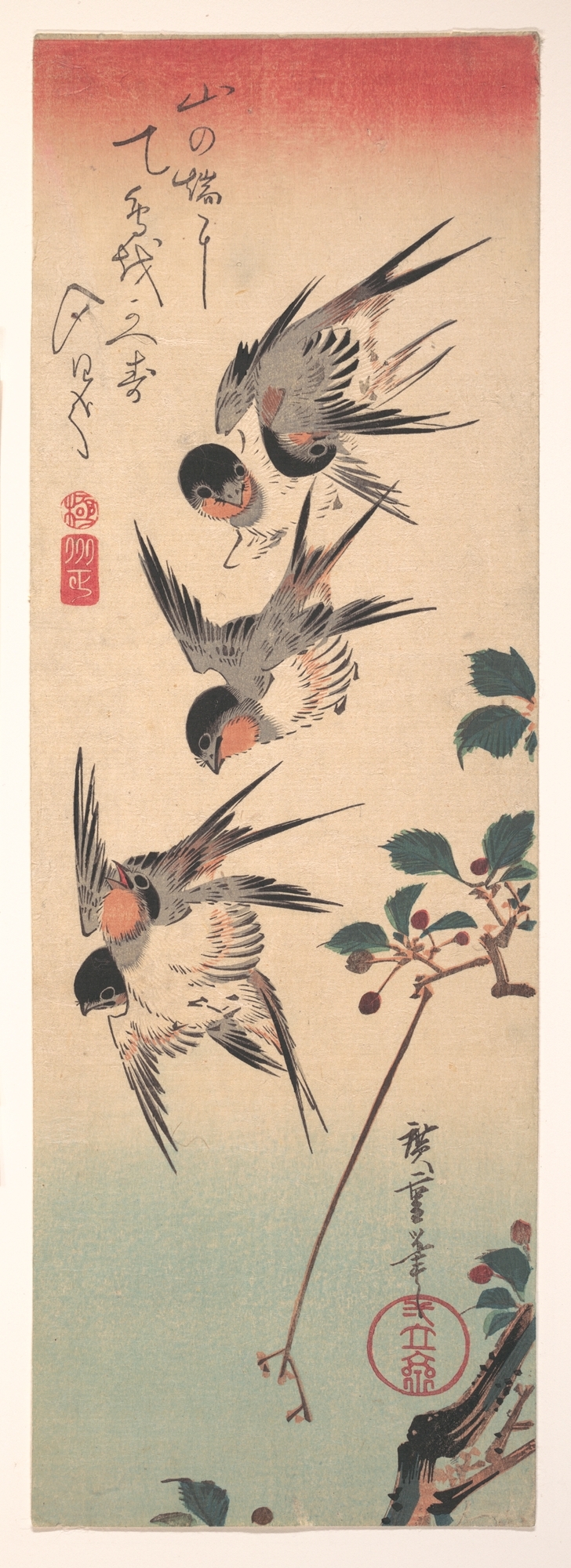 japan swallow big wonder japan swallow