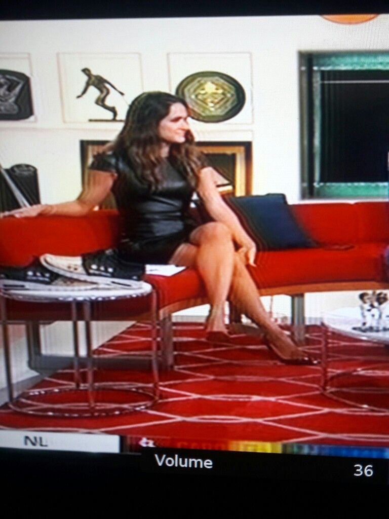 lauren shehadi sexy - stephanie ruhle sexy horny bff
