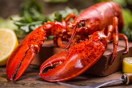 lobster tibe - bruno y maria videos harley dean new