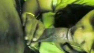 Best of Local blowjob