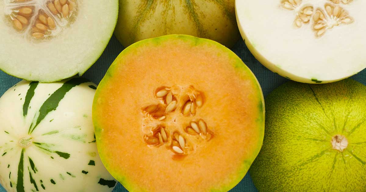 melon porn - mom stocking porn comic con nude