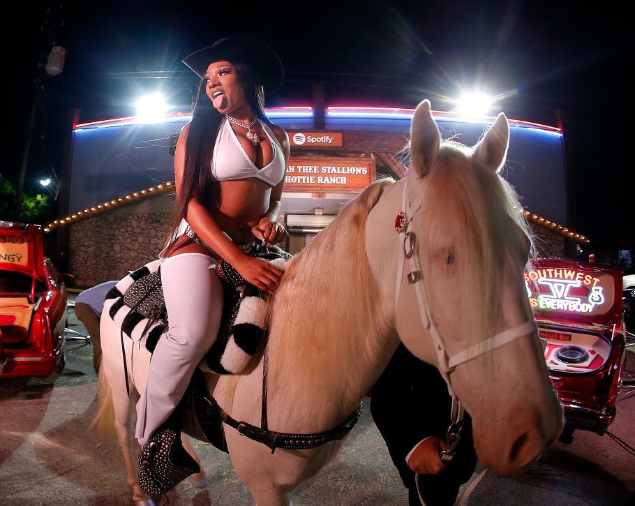 mini thee stallion a pn mini thee stallion