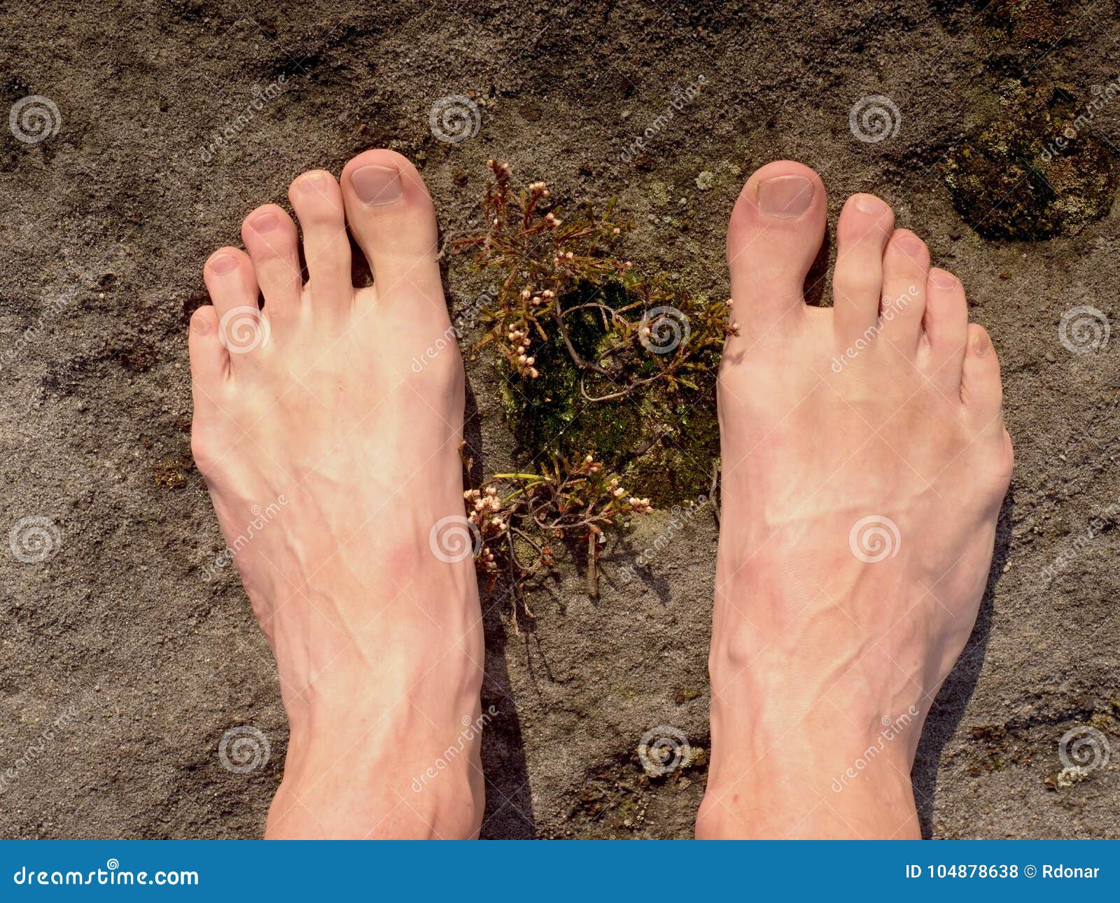 Best of Naked male feet