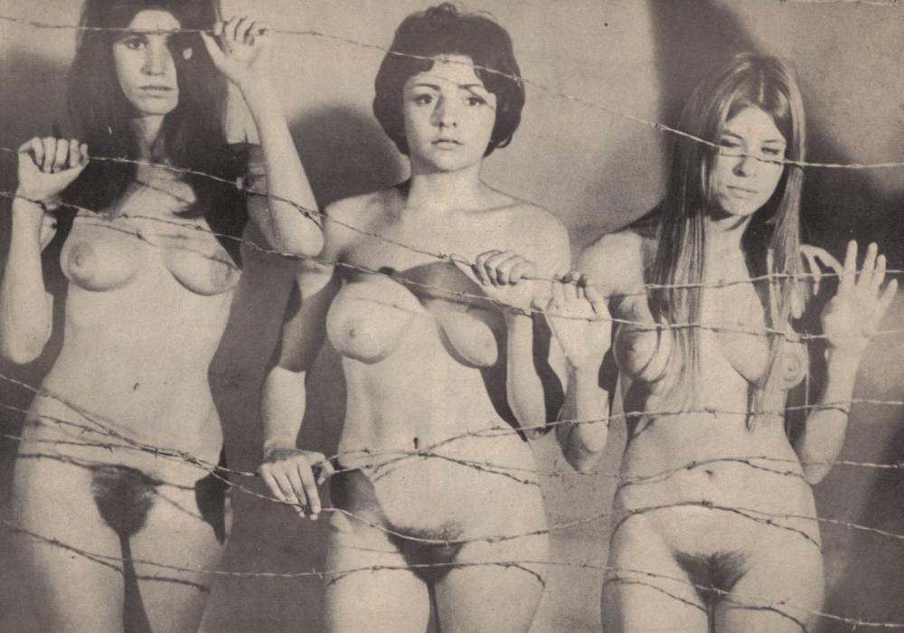 Best of dana perino nude aneela khursheed share naked women in jail photos