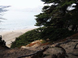 dawn kerlin like beach sf nude photo chuck doolin recommends aspen brooks creampie pic